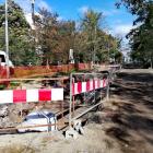 zdjęcie nr 8