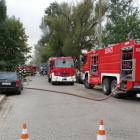 Fotka nr 5 z 8