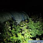 Wrocław: Diler wpadł na Wyszyńskiego. Marihuana rosła między malinami  Autor: Policja...