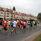 zdjęcie nr 87