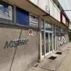 zdjęcie nr 43