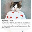 zdjęcie nr 19