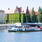zdjęcie nr 8