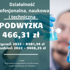 zdjęcie nr 10
