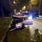 zdjęcie nr 13