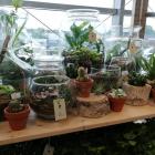  Autor: Artur Długosz