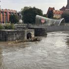 zdjęcie nr 8