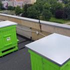 zdjęcie nr 9