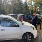 Poszli na cmentarz. W nagrzanym aucie zostawili psa  Autor: Straż Miejska Wrocławia