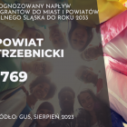 zdjęcie nr 19