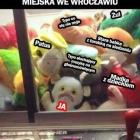 zdjęcie nr 10