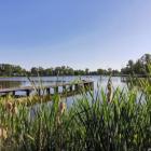 Dolina Baryczy i Stawy Milickie - z Wrocławia można tam dojechać samochodem (za ok. 60...