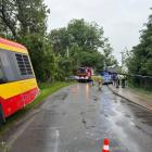 zdjęcie nr 7