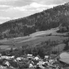 zdjęcie nr 35