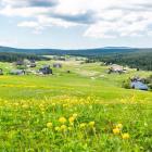 fot. shutterstock
