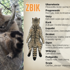 zdjęcie nr 19