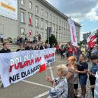zdjęcie nr 48