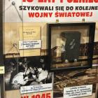 zdjęcie nr 13