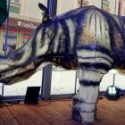   Autor: ZOO Wrocław