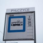 zdjęcie nr 12