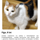 Fotka nr 1 z 20