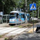 zdjęcie nr 10