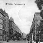 zdjęcie nr 10