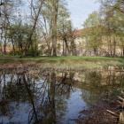 zdjęcie nr 11