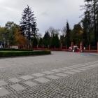 zdjęcie nr 25