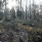 zdjęcie nr 7