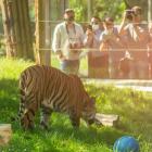   Autor: Wrocławskie zoo