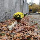 zdjęcie nr 6