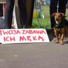   Autor: Anna Plebanska