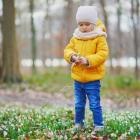   Autor: Adobe Stock