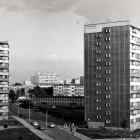 zdjęcie nr 10