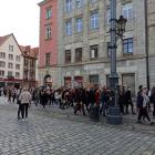zdjęcie nr 21