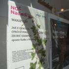zdjęcie nr 15