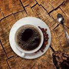   10. El Gato Specialty Coffee Roasters  

 Odrzańska 8/1 | ⭐ 4,8 | 857 opinii |...
