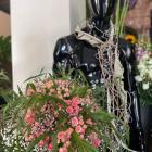 Kwiaciarnia Flower's Secret
 
Ocena 5/5 (143 opinie)
 
W ofercie kwiaciarni:...