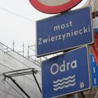 zdjęcie nr 11