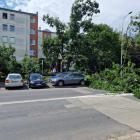 Wrocław: Drzewo runęło na ulicę. Urzędnicy się kłócą, kto jest odpowiedzialny  Autor:...