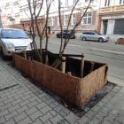 Słomiane bariery przy ul. B. Chrobrego.  Autor: Wojciech Kulig