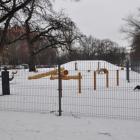 zdjęcie nr 5