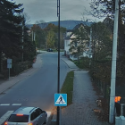 fot. Straż Miejska w Bogatyni/screen