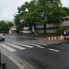 zdjęcie nr 11