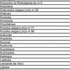 zdjęcie nr 11