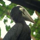   Autor: Materiały wrocławskiego zoo