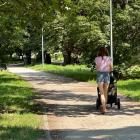 Park Kleciński we Wrocławiu  Autor: AP