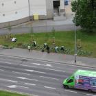 zdjęcie nr 14