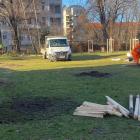 Miasto kilka dni temu posadziło drzewa. Dziś je wykopuje  Autor: Czytelnik